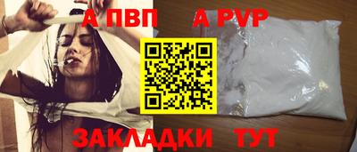СК Тула