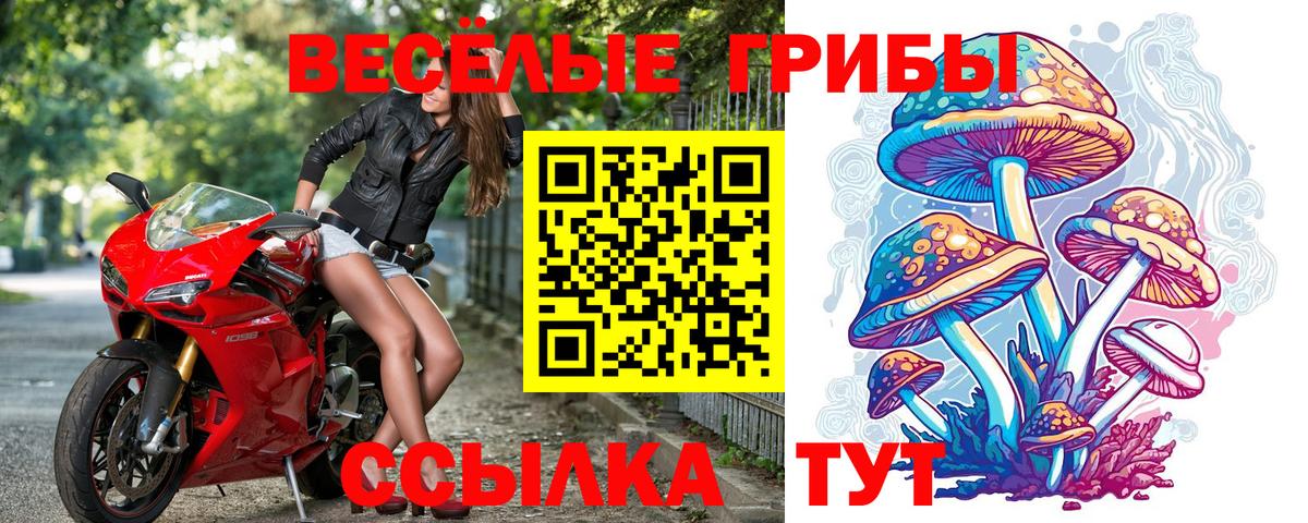 Галлюциногенные грибы Cubensis  Вход с VPN  Псилоцибиновые грибы Magic Shrooms  Выборг 
